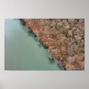 Affiche Schuylkill Trees Sanatoga