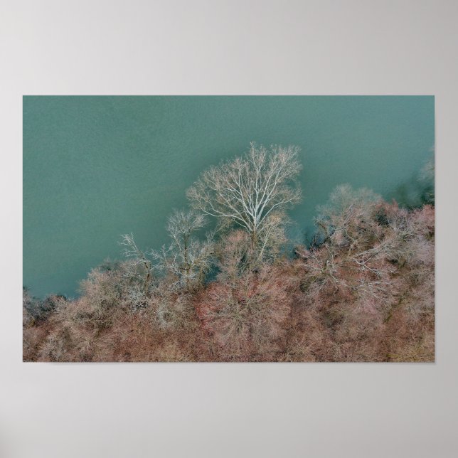 Affiche Schuylkill Trees Sanatoga (Devant)