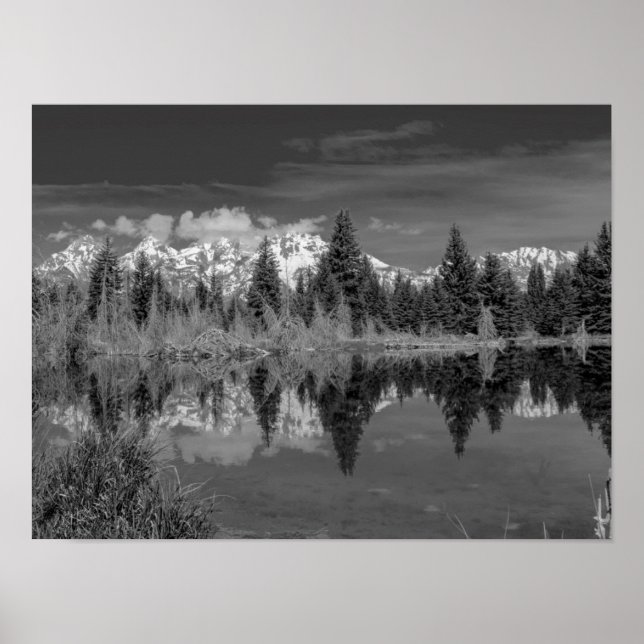 Affiche Schwabacher Landing (Devant)