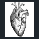 Affiche Science de l'anatomie cardiaque<br><div class="desc">Conception vintage</div>