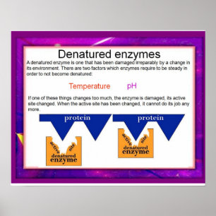 Affiche Science, Digestion,Denatured Enzymes