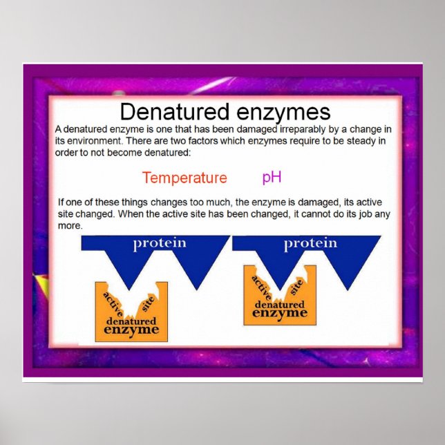 Affiche Science, Digestion,Denatured Enzymes (Devant)
