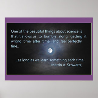 Affiche Science is about Bumbling Along!