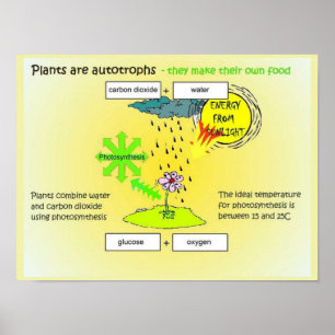 Affiche Science, Plantes, autographes, alimentation