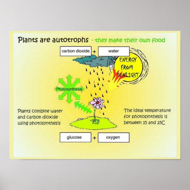 Affiche Science, Plantes, autographes, alimentation (Devant)