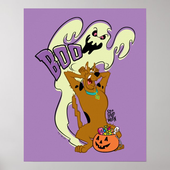 Affiche Scooby-Doo | Scooby-Doo Boo (Devant)