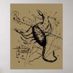 Affiche Scorpio Constellation Hevelius 1690 Décor