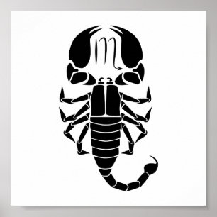 Affiche scorpio scorpion astrologie zodiaque horoscope