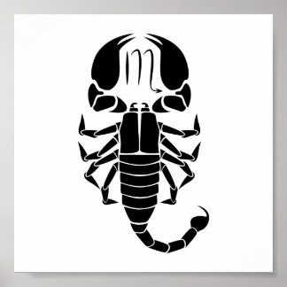 Affiche scorpio scorpion astrologie zodiaque horoscope