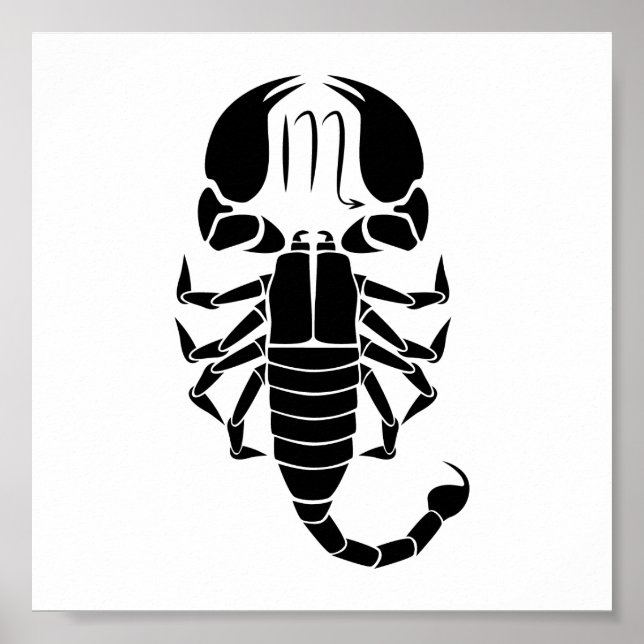 Affiche scorpio scorpion astrologie zodiaque horoscope (Devant)
