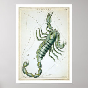 Affiche Scorpion Astrologie Zodiaque