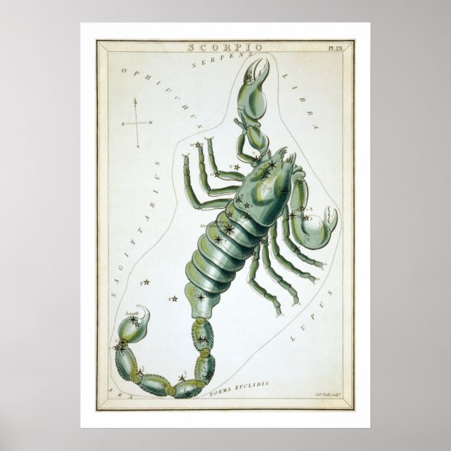 Affiche Scorpion Astrologie Zodiaque (Devant)