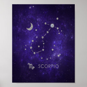 Affiche Scorpion violet zodiaque   Horoscope d'astrologie