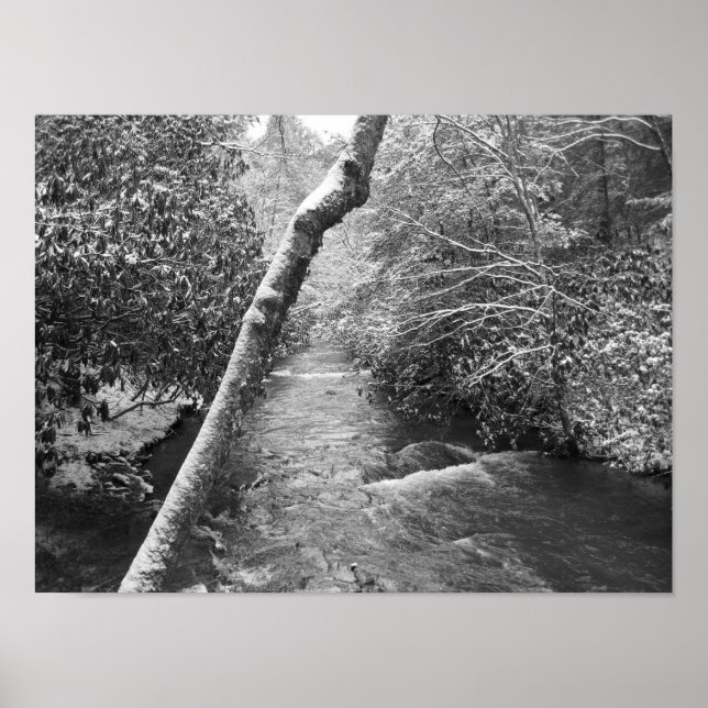 Affiche Scott Creek (Devant)