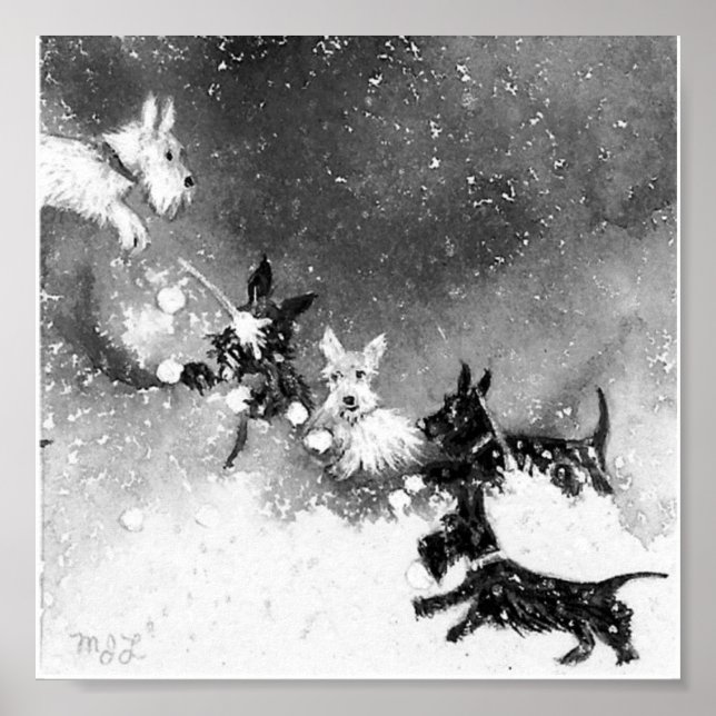 Affiche Scotties Snow Combat (Devant)