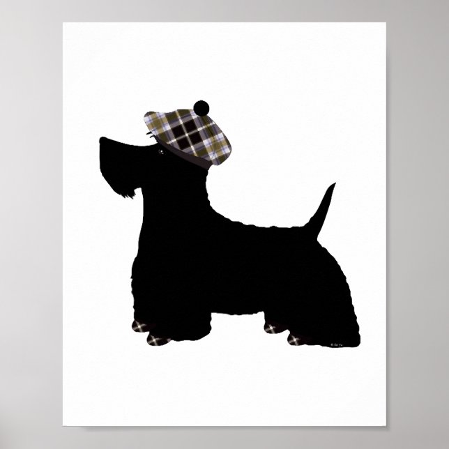 Affiche Scottish Terrier (Devant)