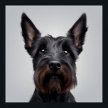 Affiche Scottish Terrier<br><div class="desc">Terrier écossais mignon.</div>