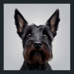 Affiche Scottish Terrier<br><div class="desc">Terrier écossais mignon.</div>