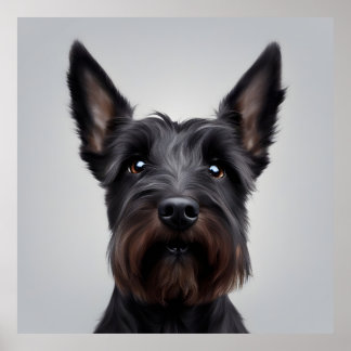 Affiche Scottish Terrier
