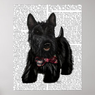 Affiche Scottish Terrier and Bow