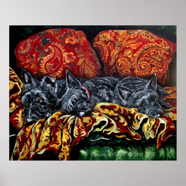Affiche Scottish Terrier Trio (Devant)