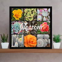 Script de fleurs Cactus modernes Roses Photo Motif