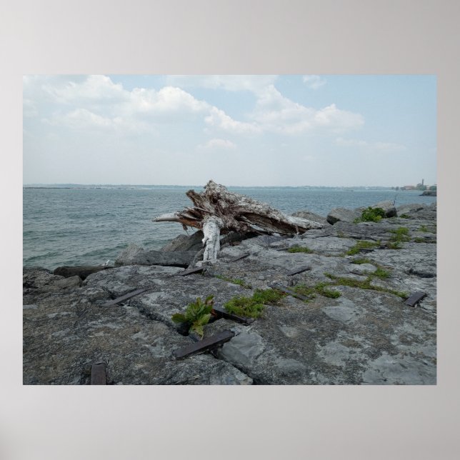Affiche Sculpture de monstre de lac en bois (Devant)