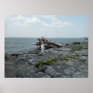 Affiche Sculpture du monstre du lac en bois