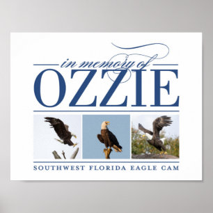 Affiche Se rappeler l'affiche décorative d'Ozzie