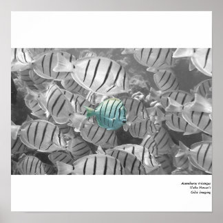 Affiche Se tenir à l'écart de la foule