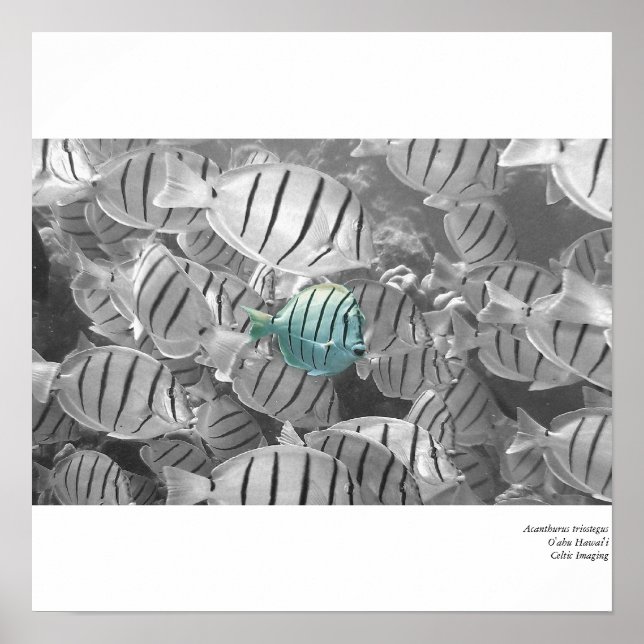 Affiche Se tenir à l'écart de la foule (Devant)