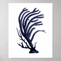 Sea Coral Marine Blue Coastal Wall Art