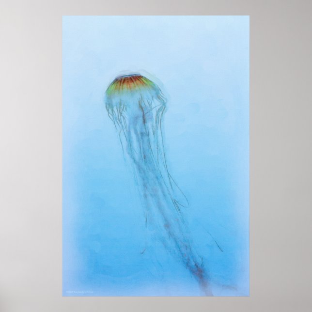 Affiche Sea Nettle (Devant)
