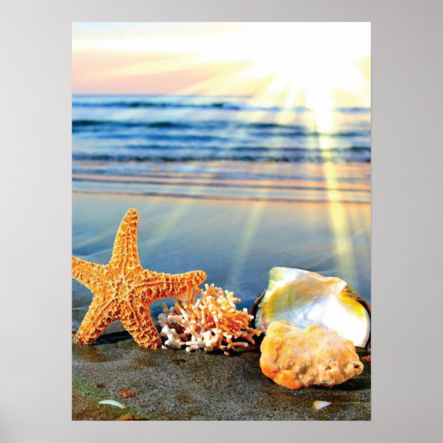 Affiche Sea shells and starfish on beach (Devant)