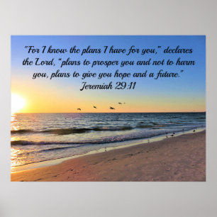 AFFICHE SEAGULLS ET SUNRISE JEREMIAH 29:11 BIBLE VERSE