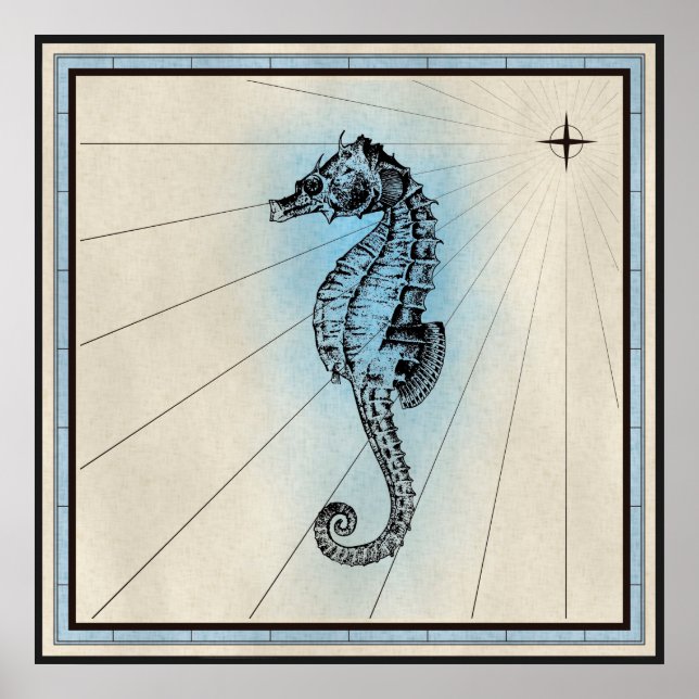 Affiche Seahorse (Devant)