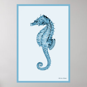 Affiche Seahorse In Blue