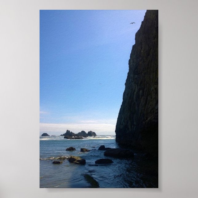 Affiche Seal Rock State Park (Devant)