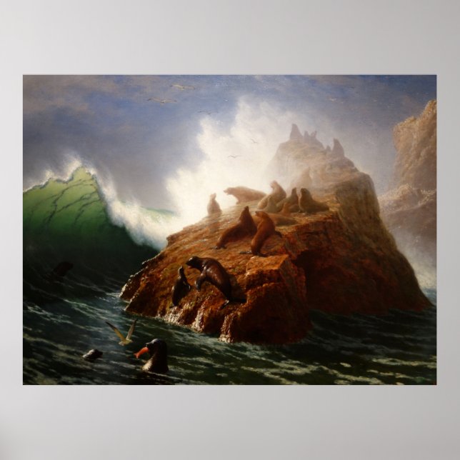 Affiche Seal Rock (vers 1872-1887) (Devant)