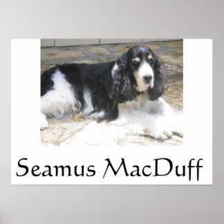 Affiche Seamus MacDuff