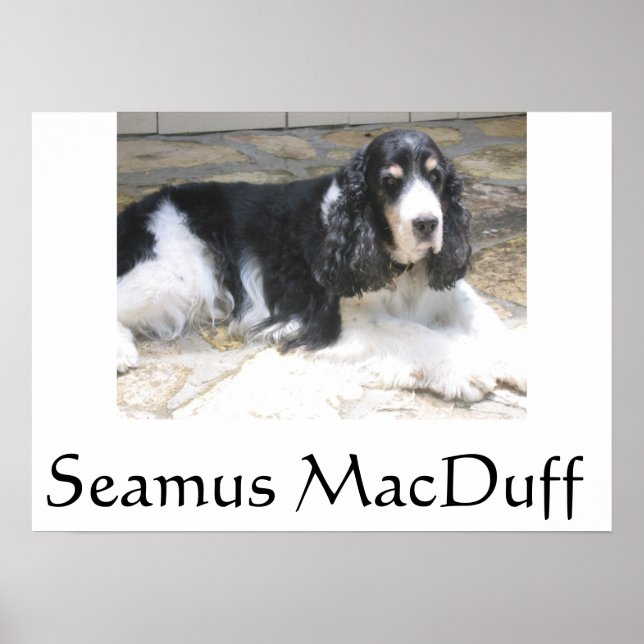 Affiche Seamus MacDuff (Devant)