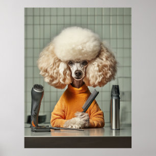 Affiche Séance De Grooming De Poodle