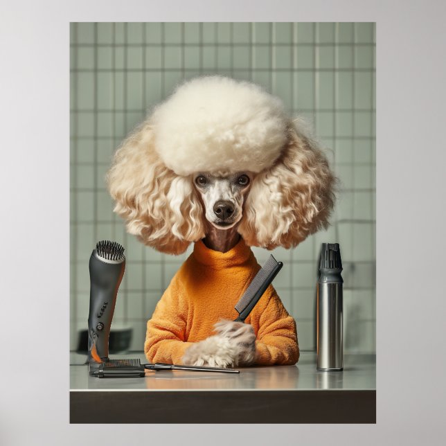 Affiche Séance De Grooming De Poodle (Devant)
