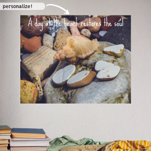 Affiche Seashell at the Seashore