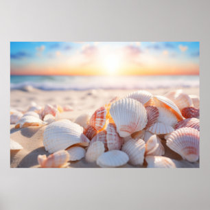 Affiche Seashell Beach Nature Tranquille