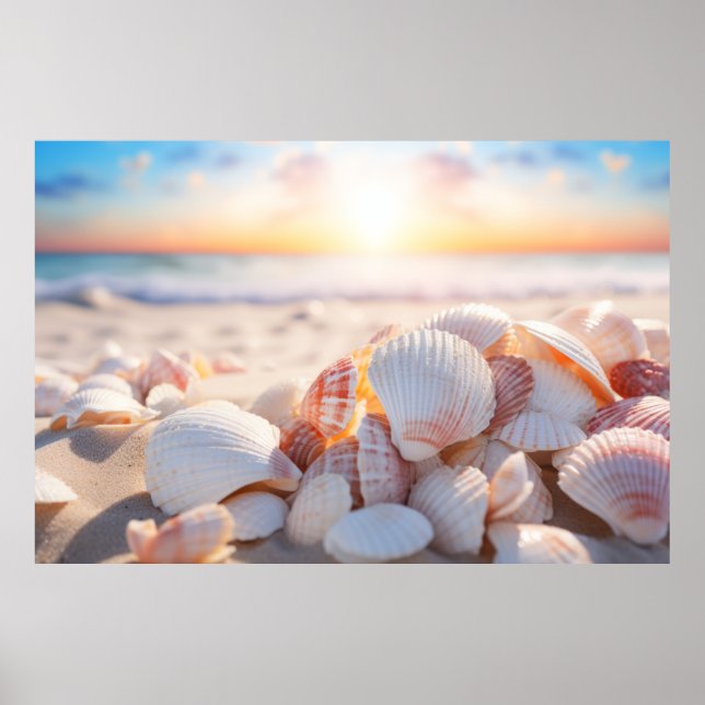 Affiche Seashell Beach Nature Tranquille (Devant)