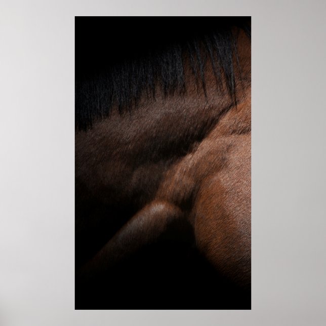 Affiche Seattle (Devant)