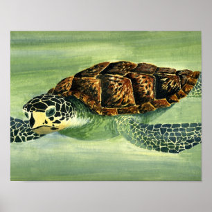 Affiche seaturtle acrylique