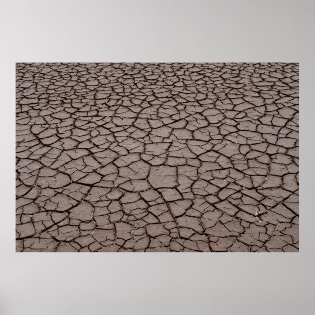 Affiche Séché (Devant)