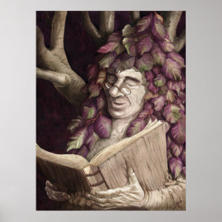 Affiche Sèche hêtre